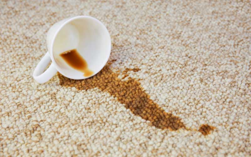 Coffee cup on the carpet, making a stain.